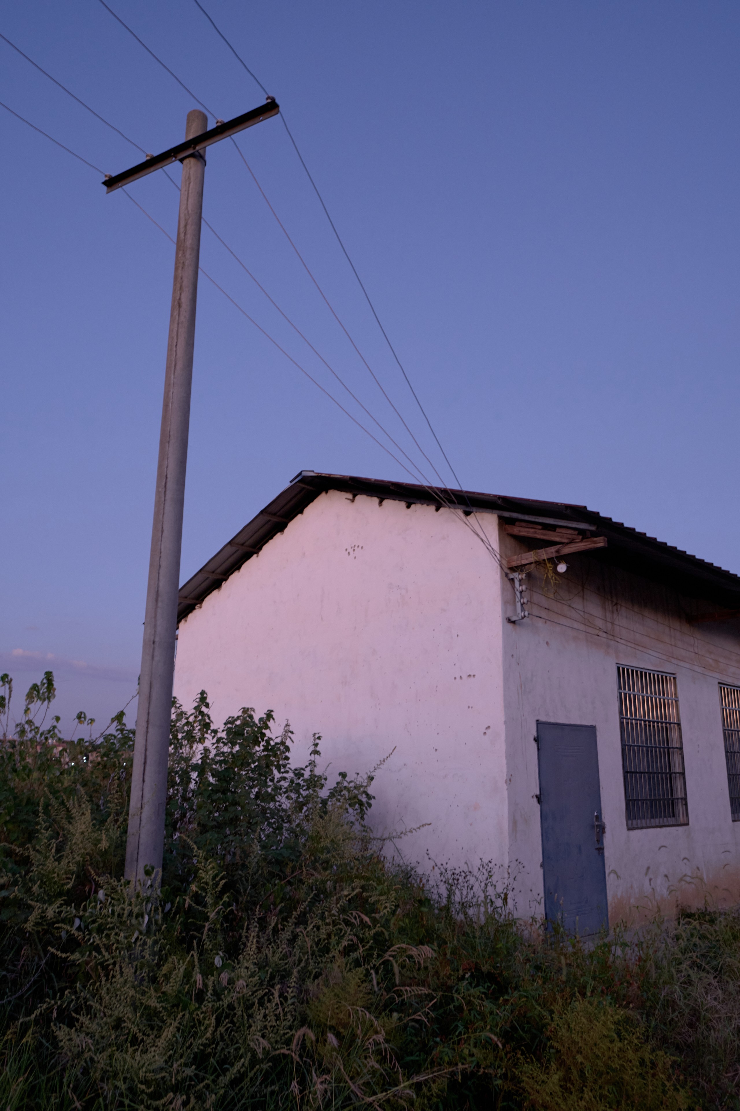 White building, dark door, two windows, tall utility pole, power lines, overgrown foliage, clear blue sky