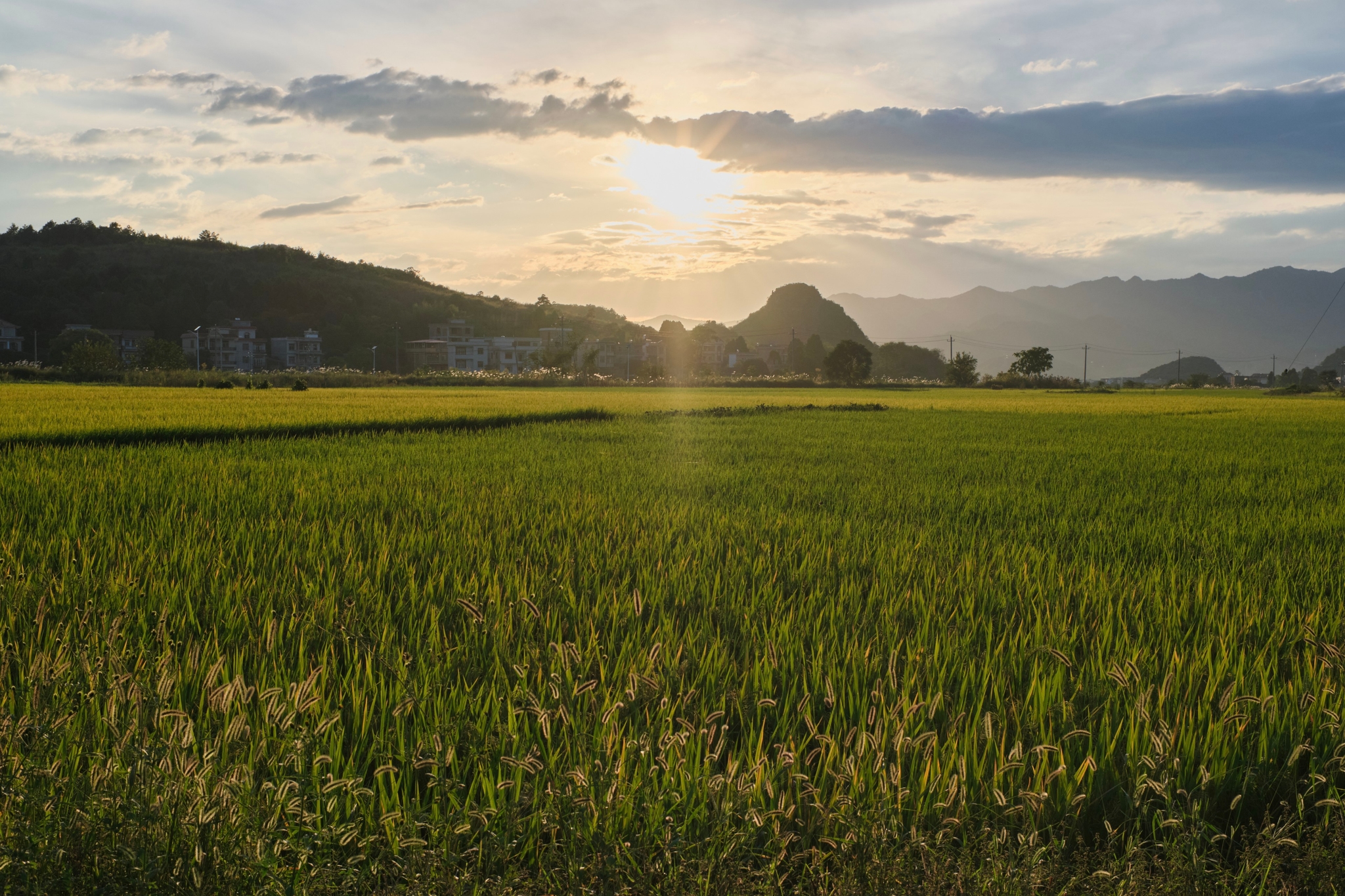 Expansive green field in foreground, distant hills, setting sun with clouds