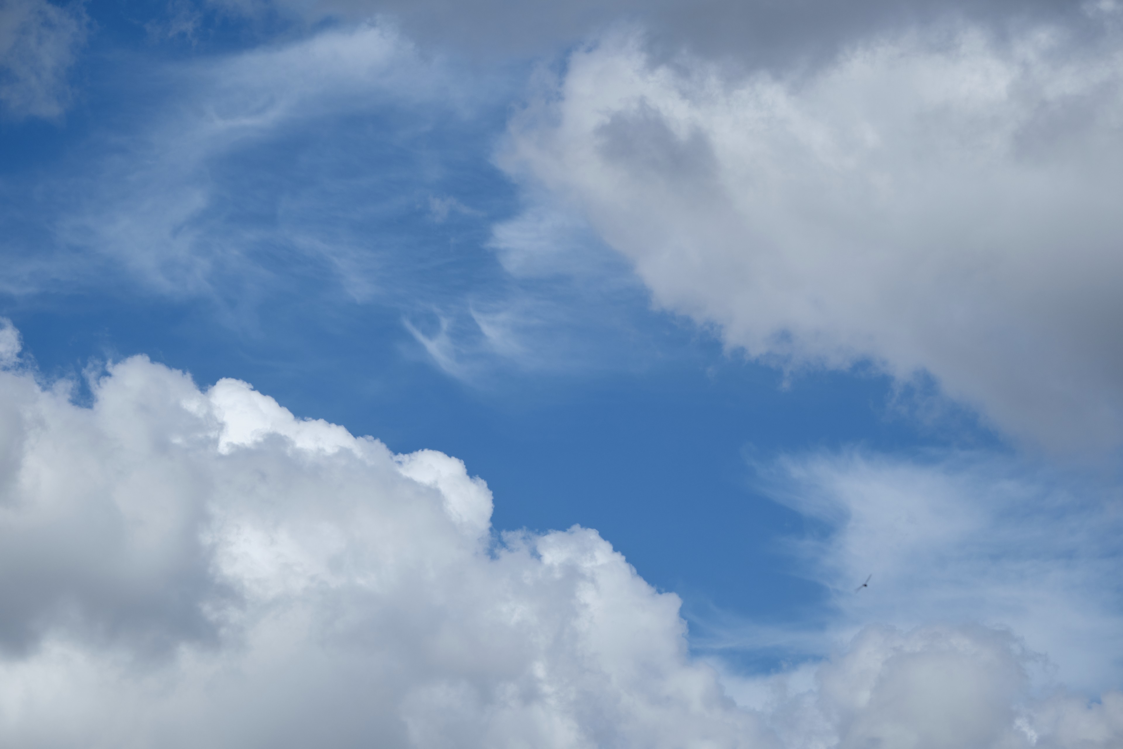 Blue sky with white cumulus clouds