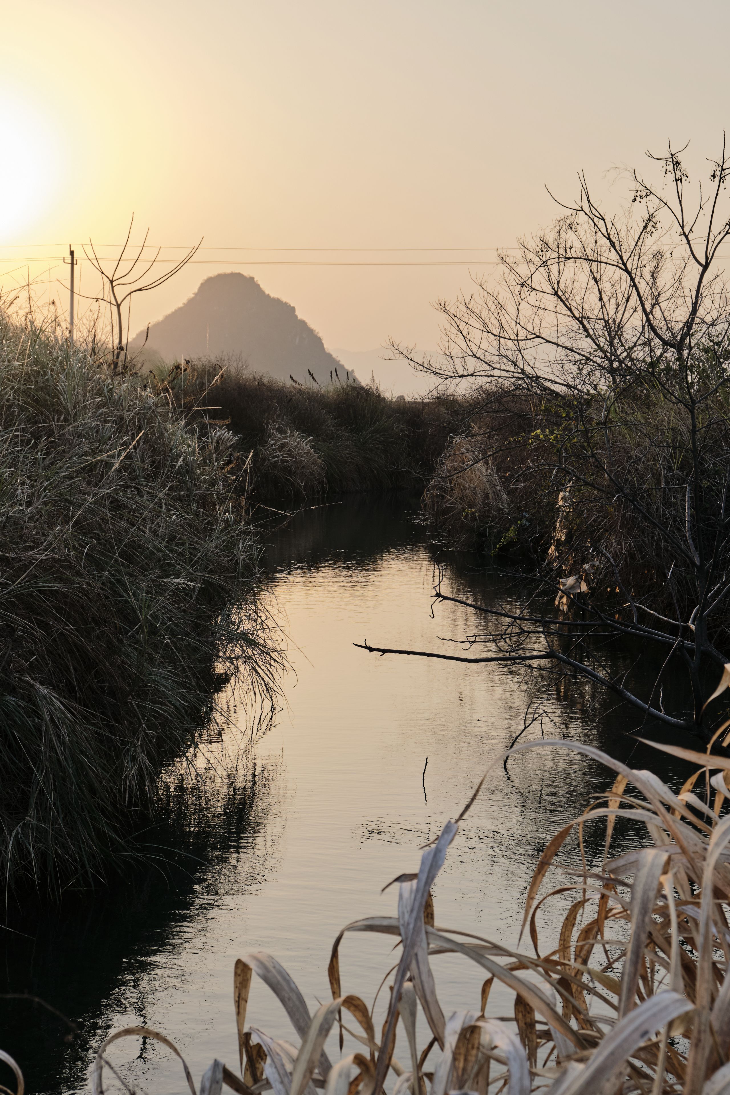 Narrow stream through dry reeds, distant mountain, golden sky