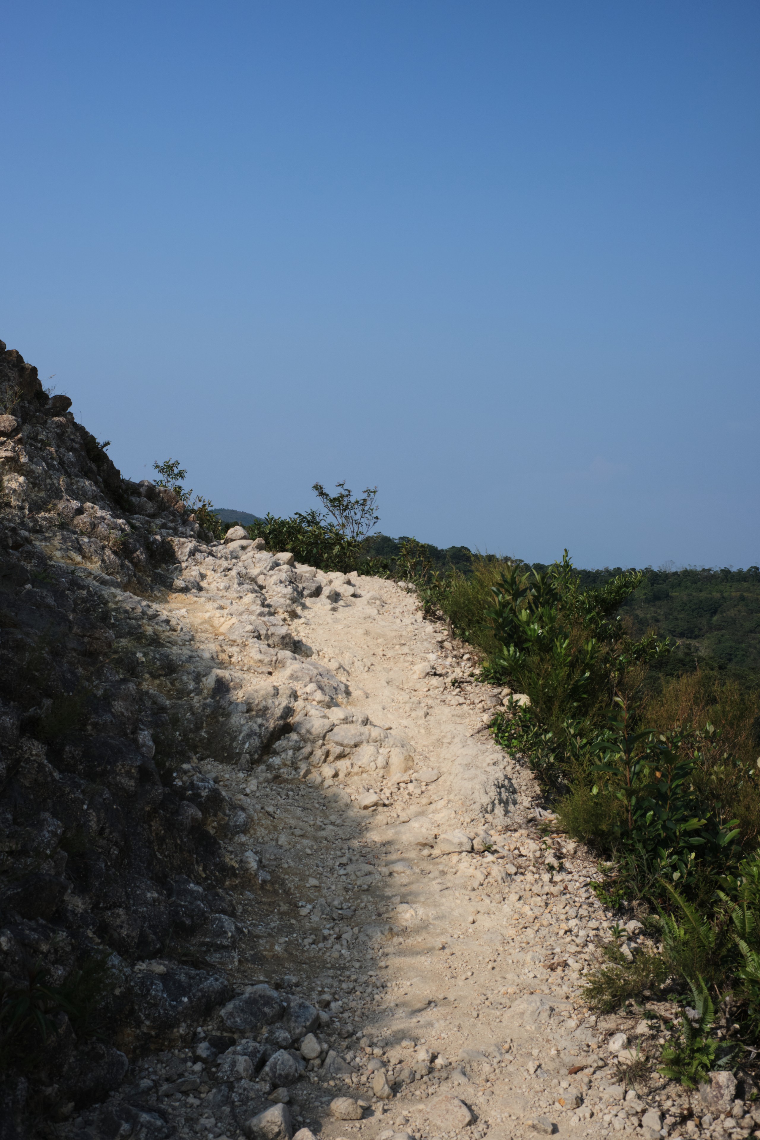 Rough dirt path ascends beside rocky slope and green plants under clear blue sky