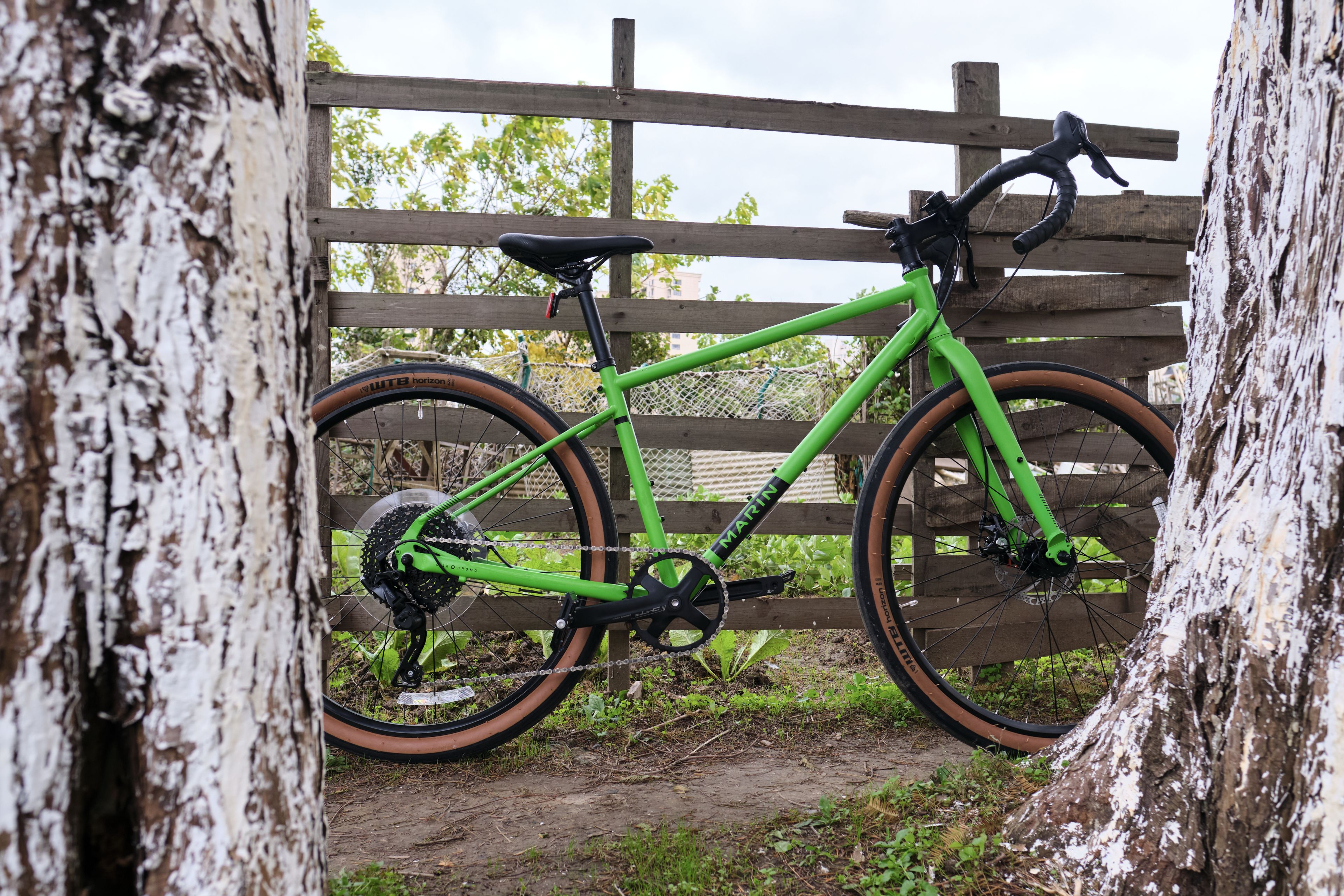 Green gravel bike parked between two trees, wooden fence background