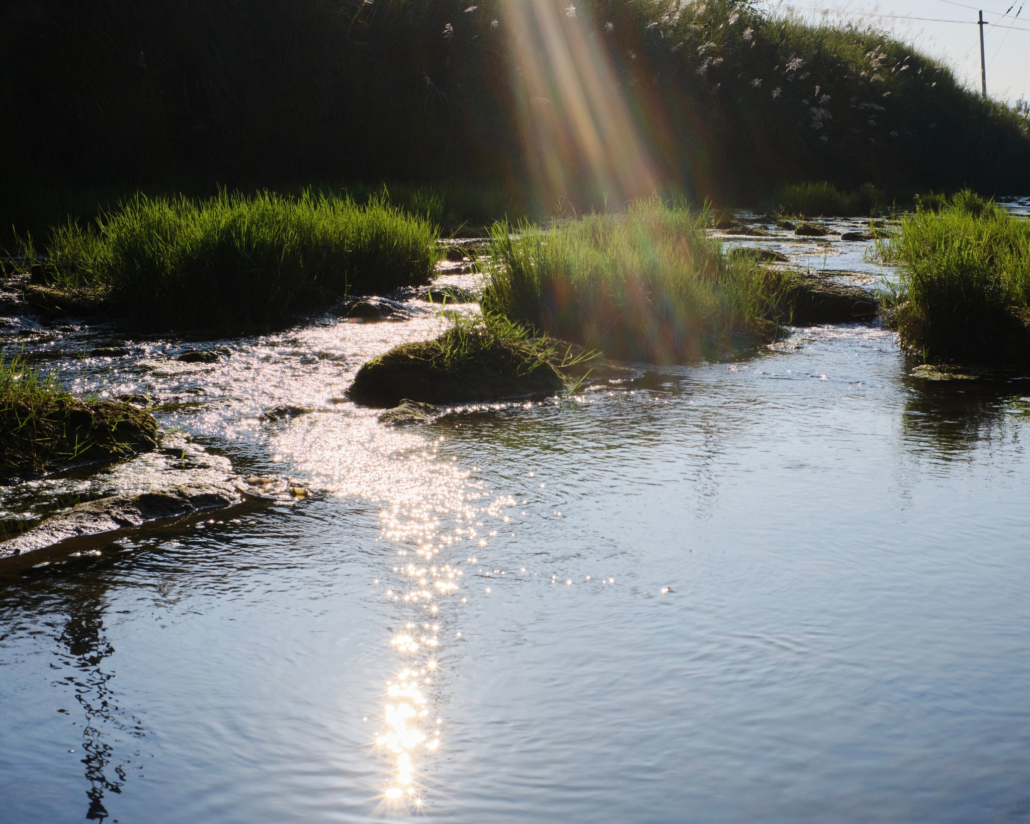 River with sun rays, grassy islands, and water reflections