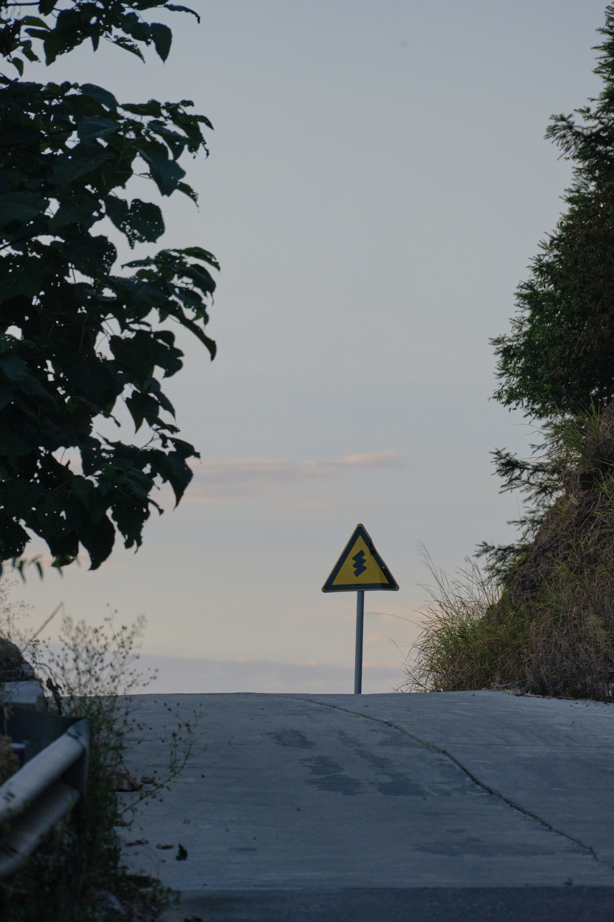 A yellow triangular warning sign with a black symbol of a falling person stands on an uphill concrete path. Dark green foliage frames the left foreground, a dark slope on the right, under a pale, overcast sky
