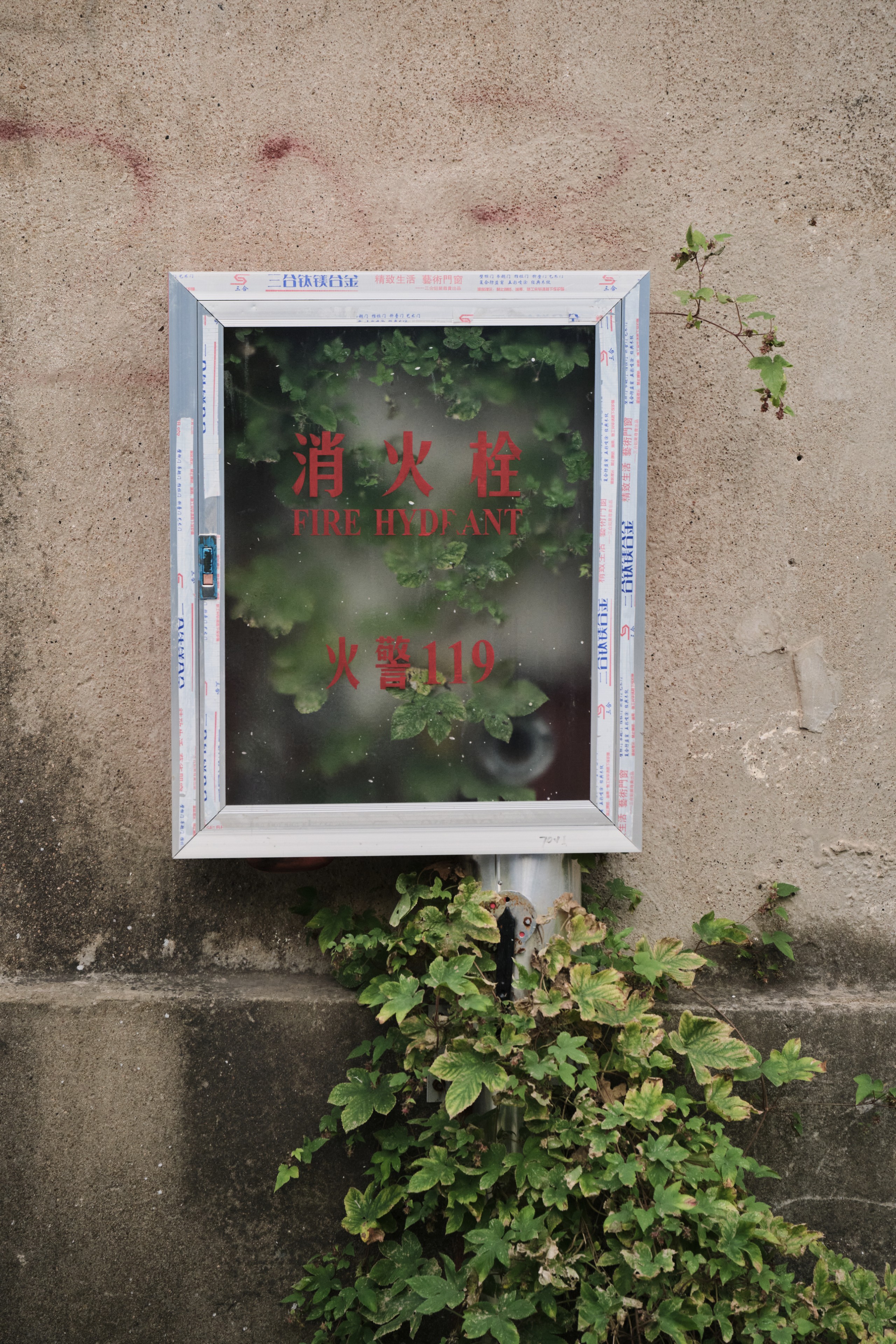 White-framed glass box with red Chinese characters and FIRE HYDRANT text, partially obscured by green leaves, mounted on a textured concrete wall, with vines growing around it