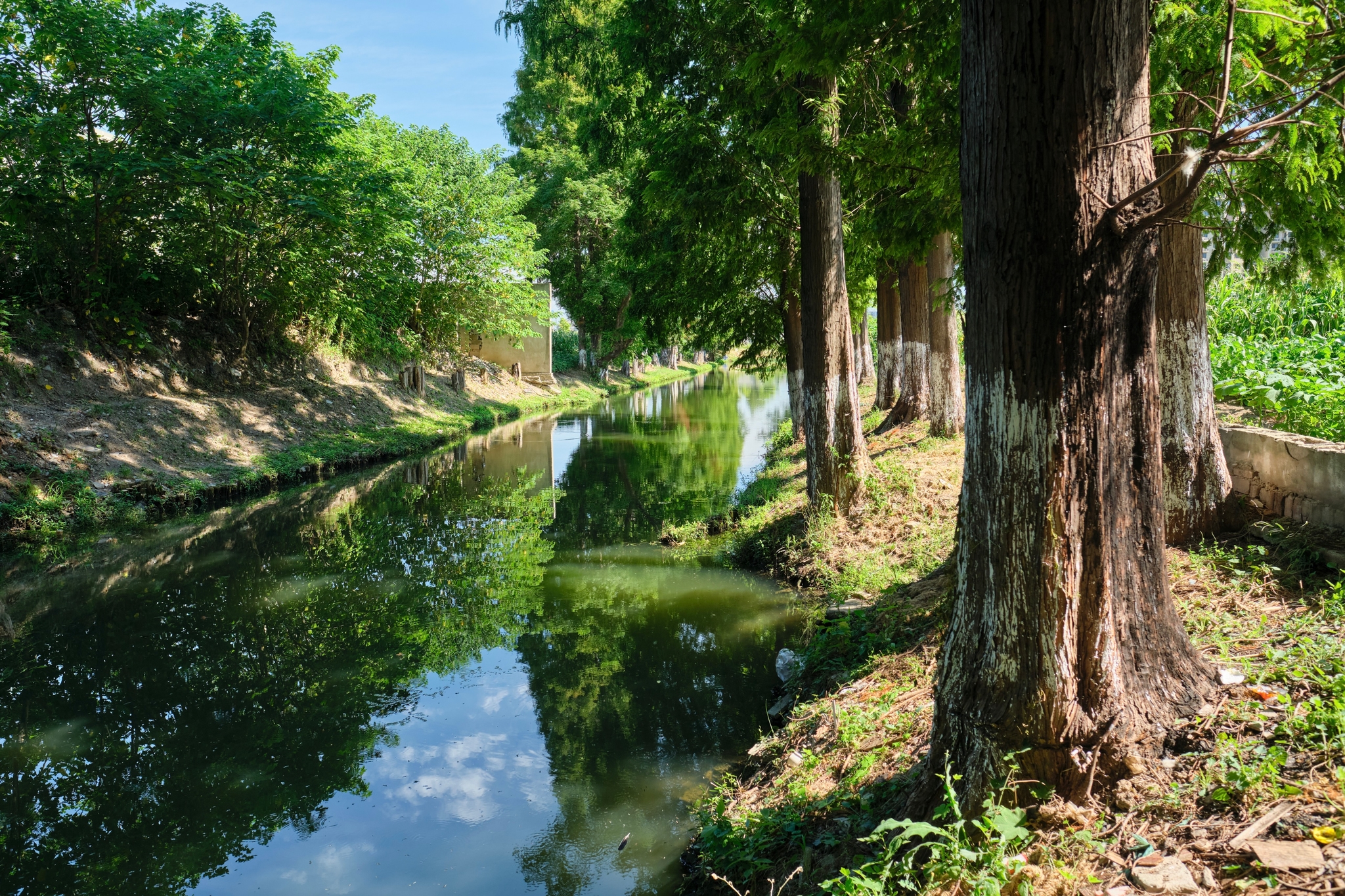 Narrow canal flowing between tree-lined banks, water reflecting sky and foliage, sunlit