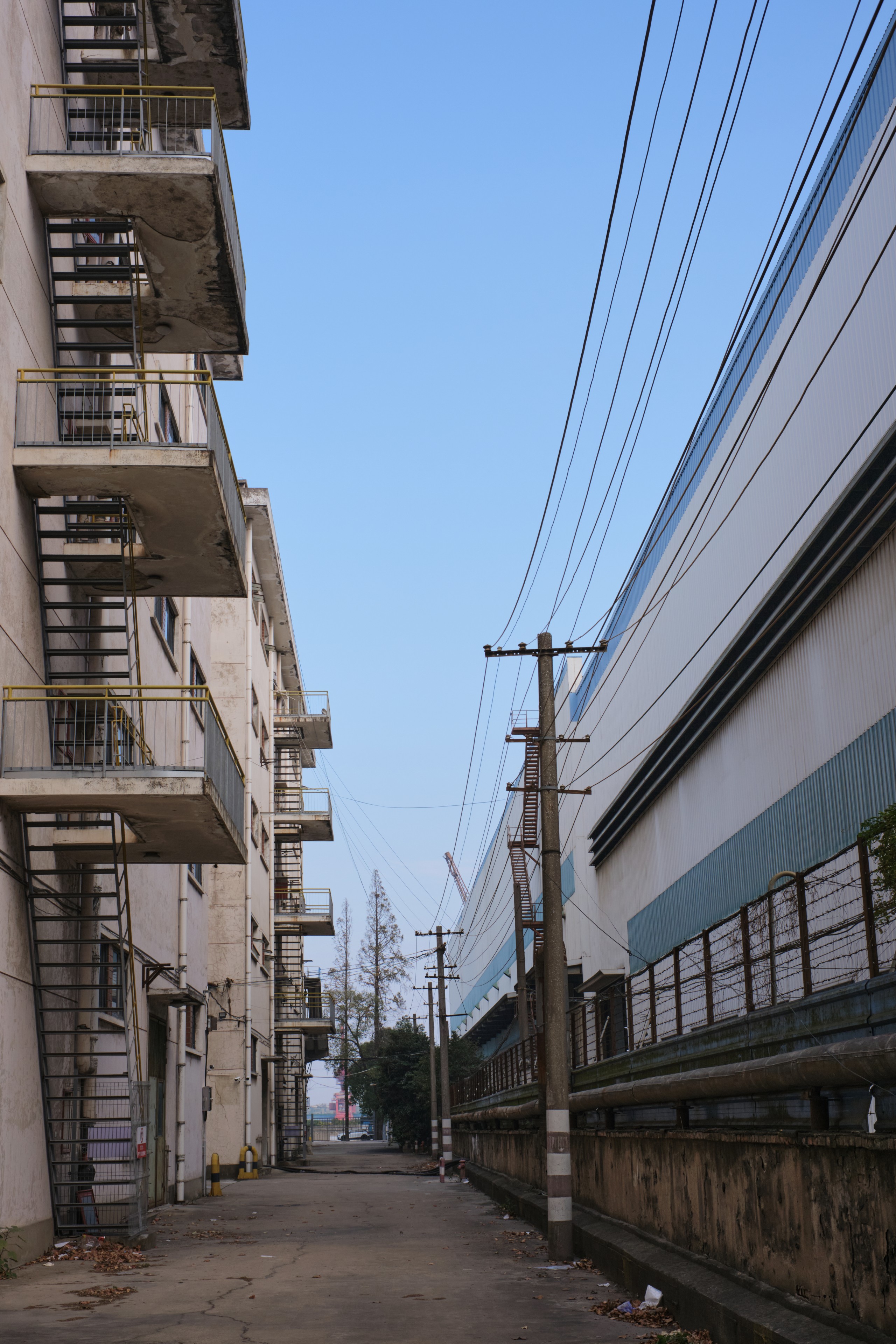 Narrow path between a multi-story building with external metal staircases and a plain-walled building, framed by utility poles and overhead power lines under a clear blue sky