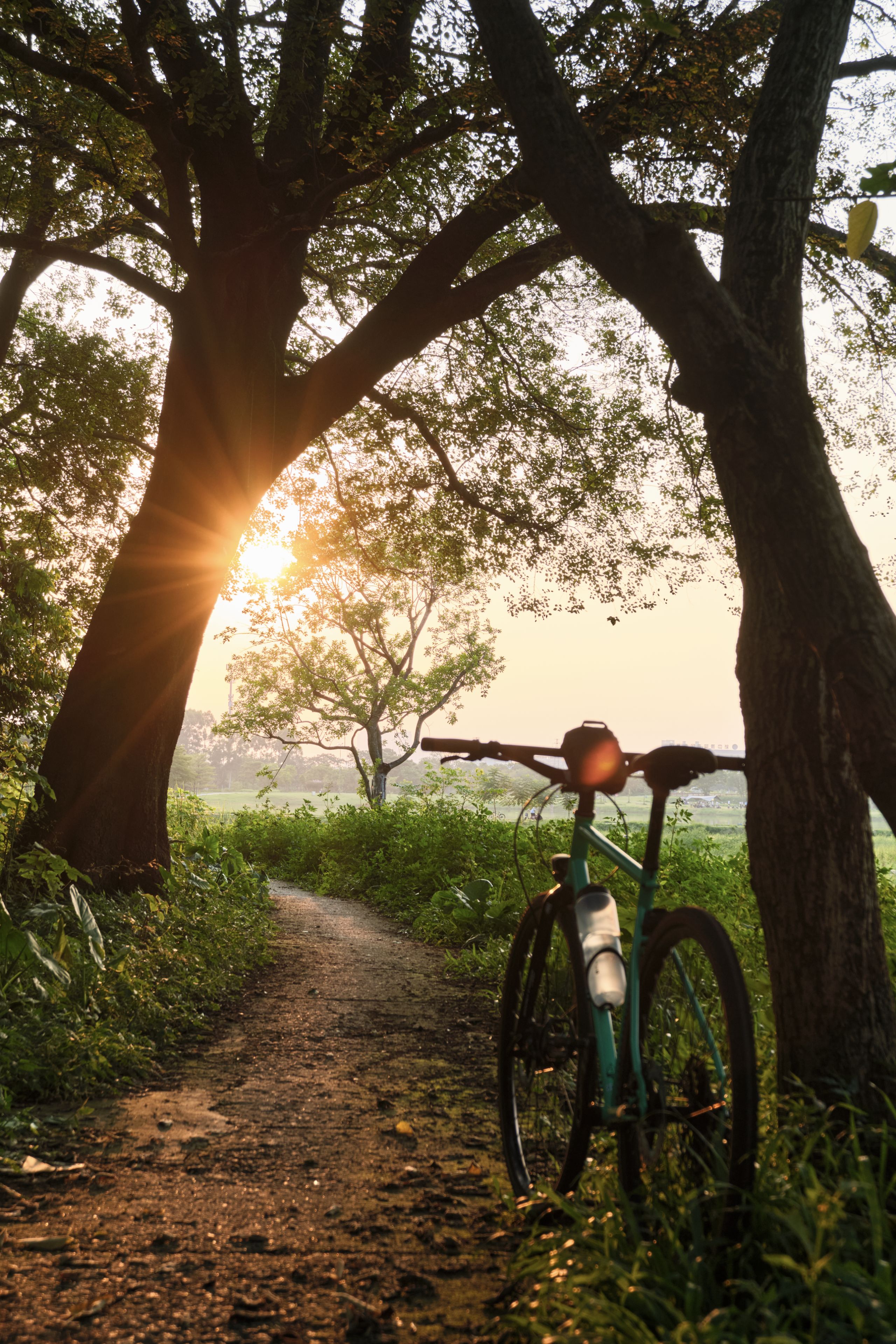 Ride towards the sun