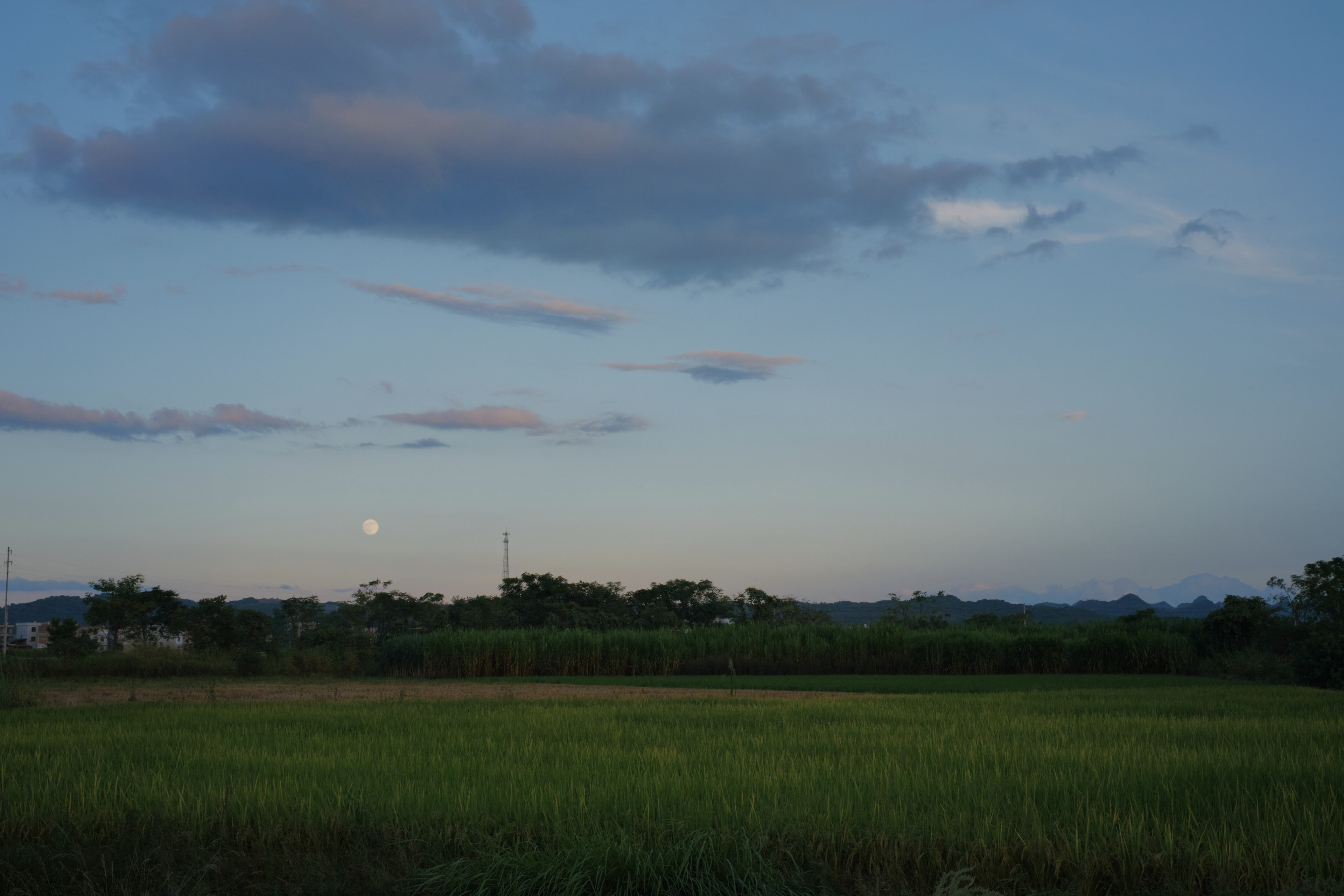 Green field under blue sky with clouds and moon, distant treeline