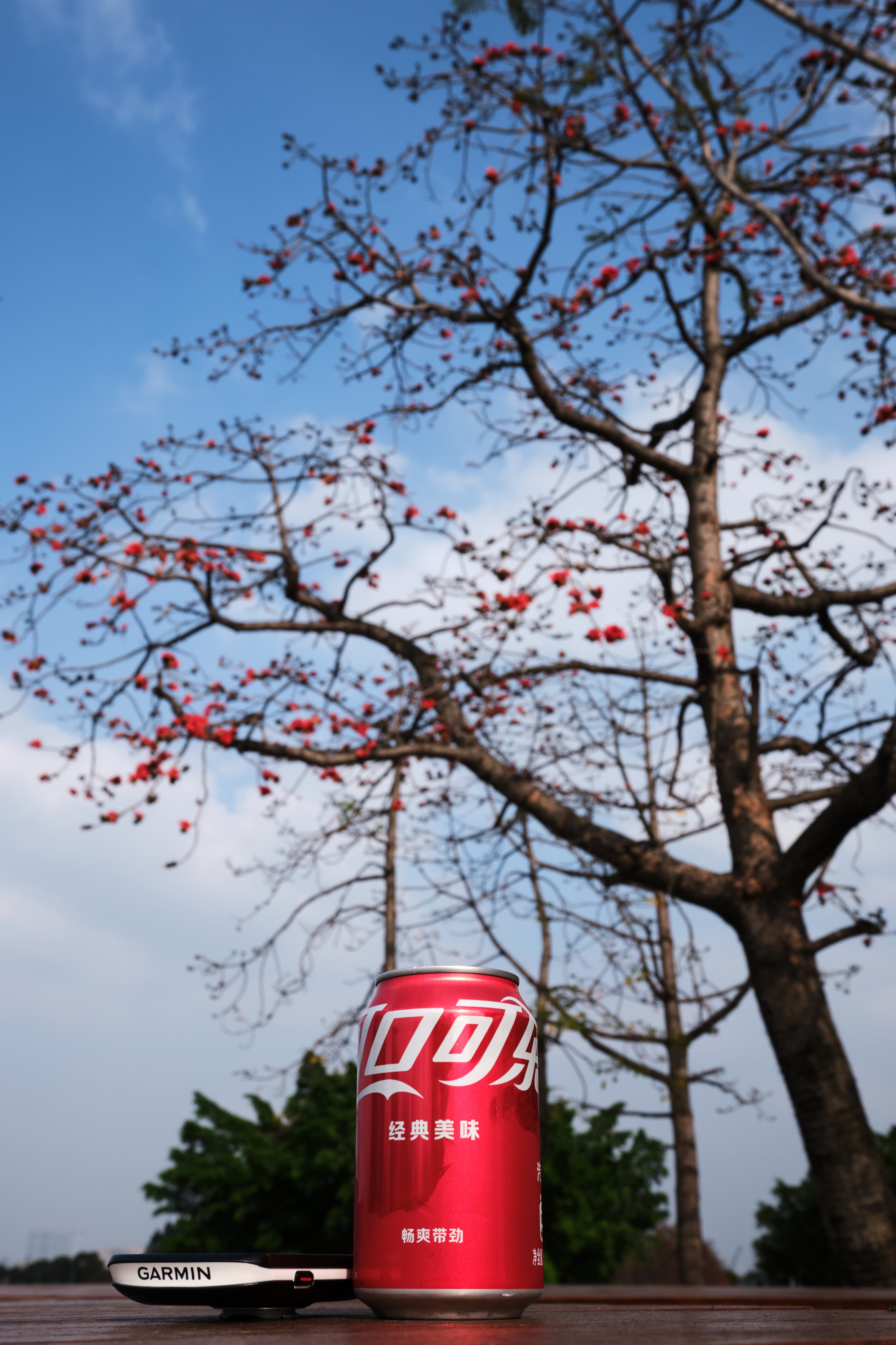 Coke & Kapok Tree