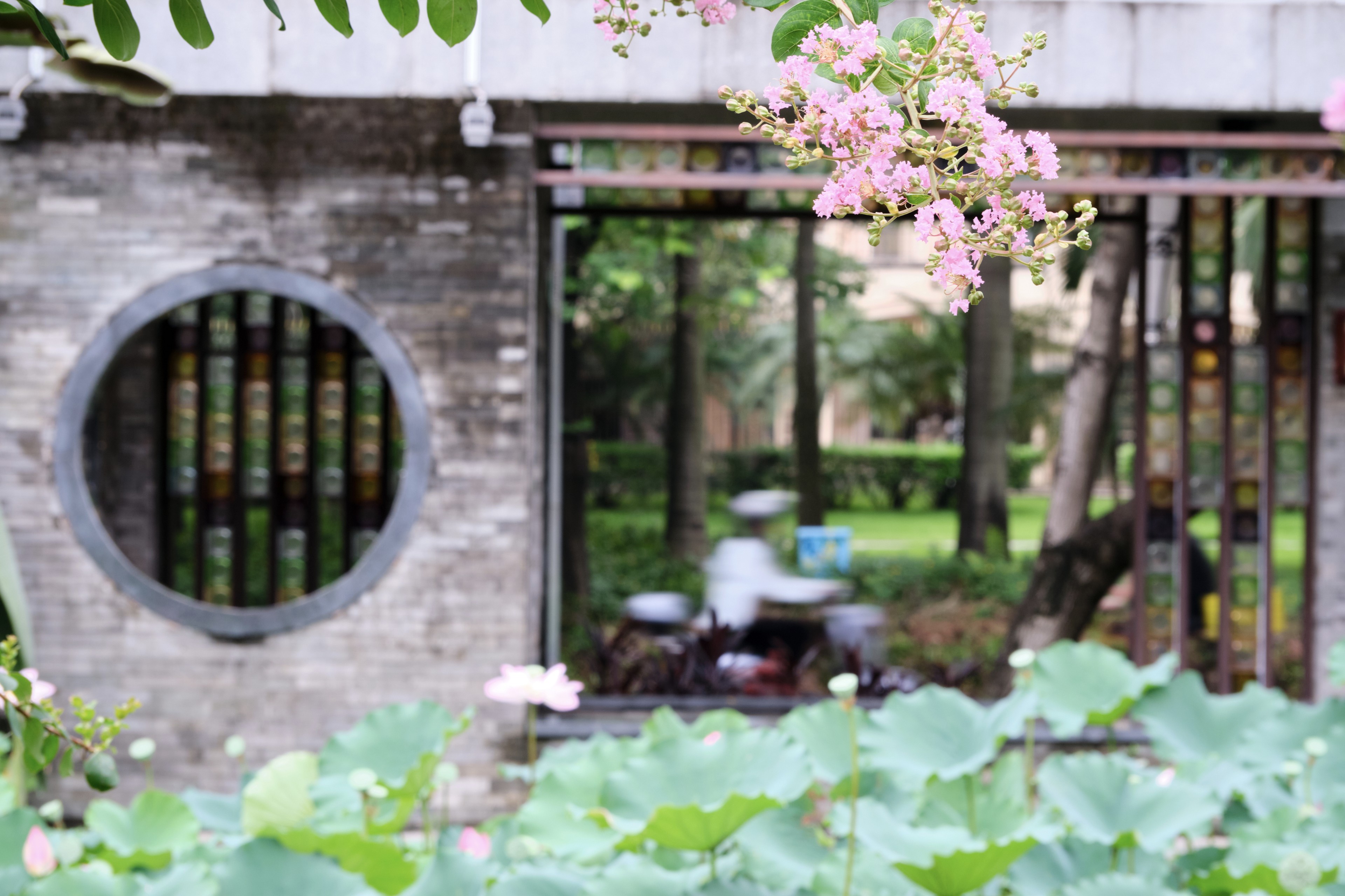 Traditional garden wall with circular window and open doorway revealing blurred figure in green courtyard, lily pads in foreground, pink flowers overhead