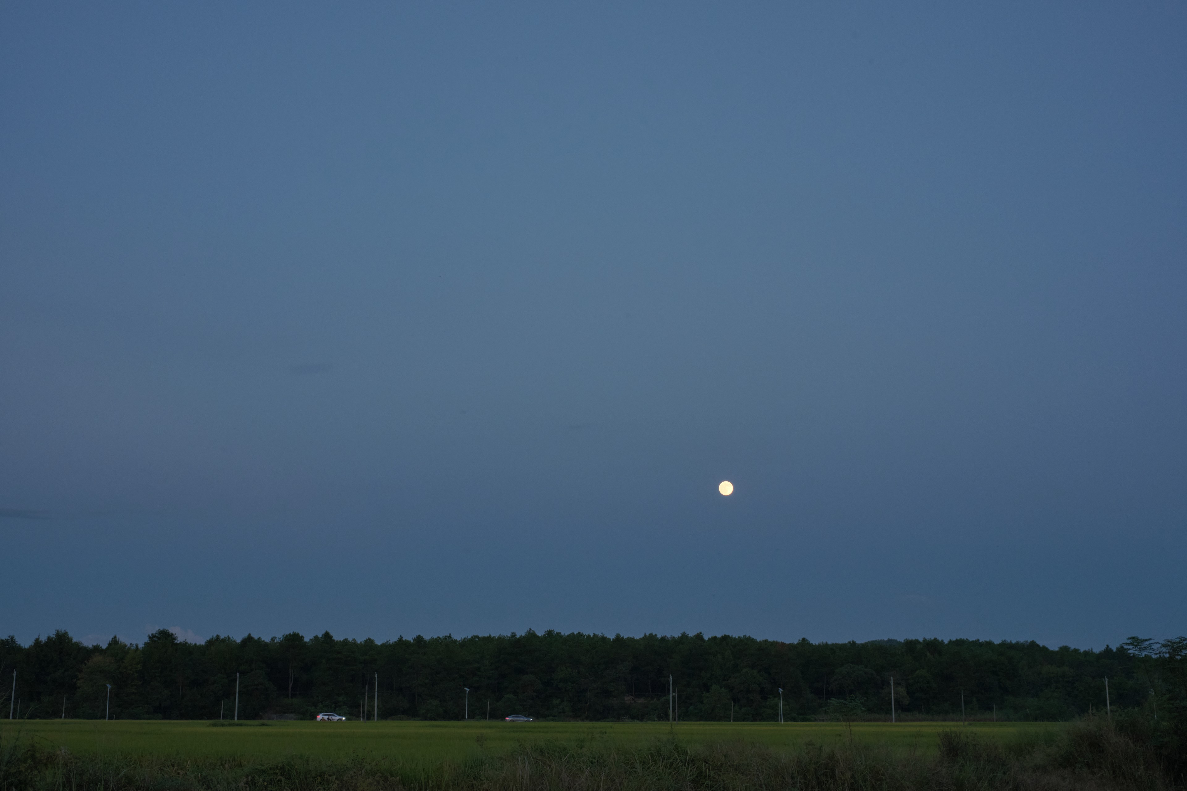 Dark blue sky with full moon over treeline and field