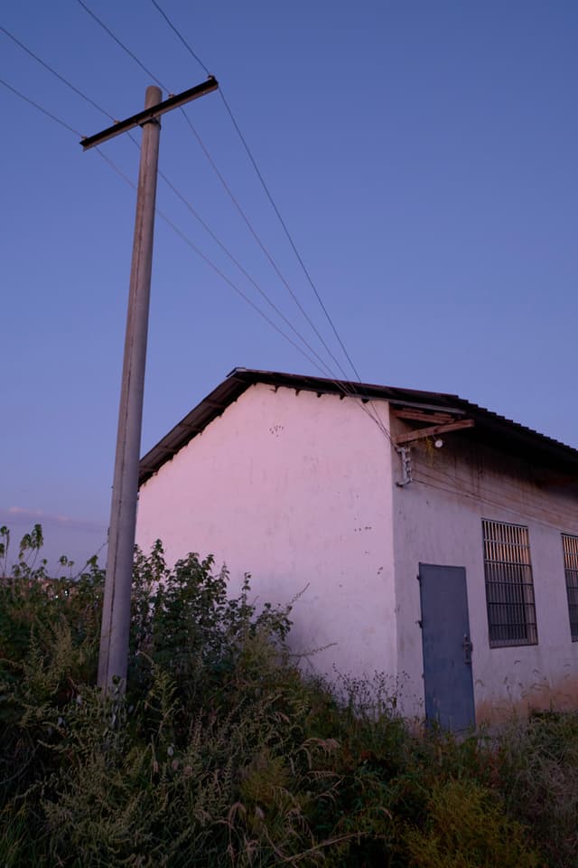 White building, dark door, two windows, tall utility pole, power lines, overgrown foliage, clear blue sky