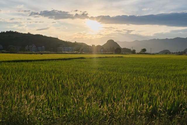 Expansive green field in foreground, distant hills, setting sun with clouds