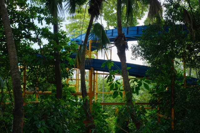 Elevated blue water slide with yellow supports peeking through dense green foliage