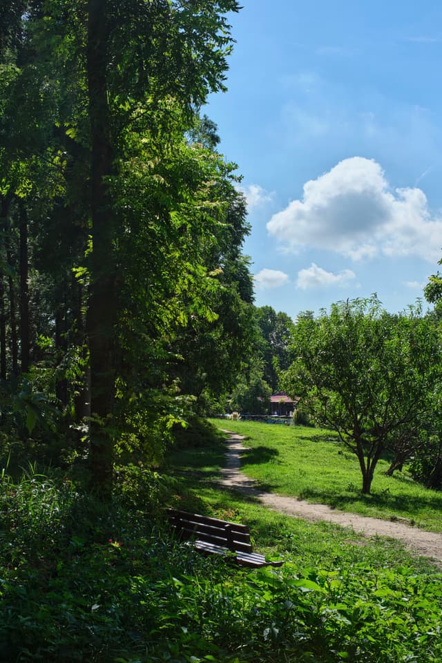 Dirt path winding through a sunlit forest clearing, tall trees, green grass, a distant house, a wooden bench, and a blue sky with white clouds