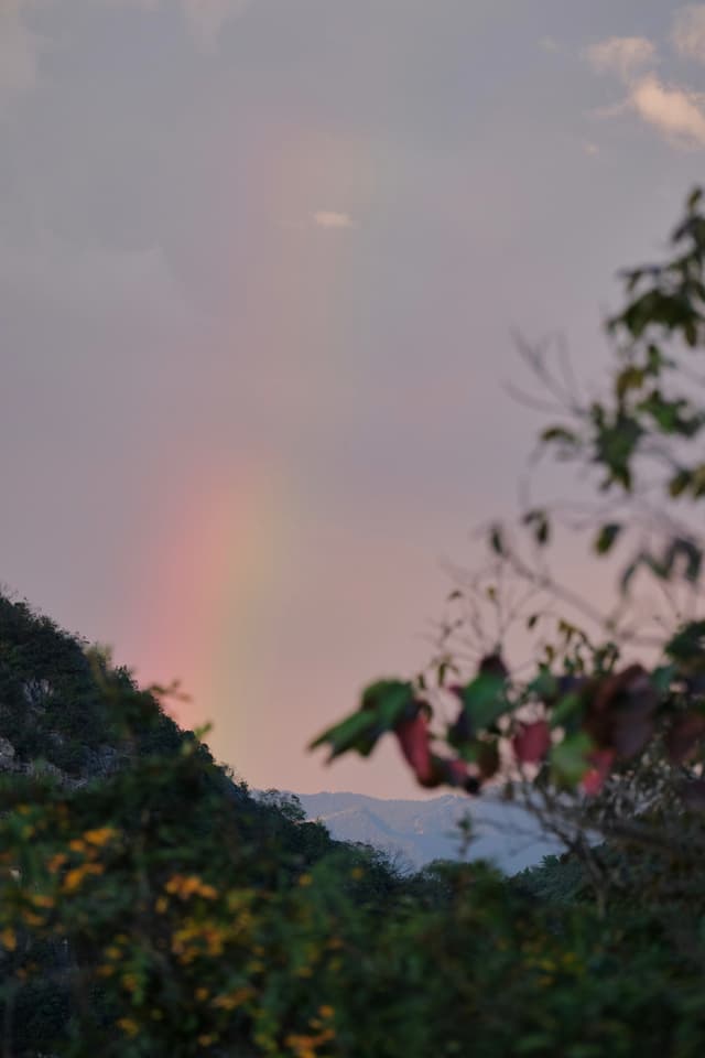 A faint rainbow is visible in a pastel sky above dark green hills. Blurred foliage occupies the foreground, with distant mountains faintly visible