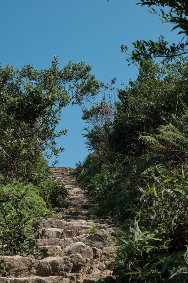 Stone steps ascend through dense green foliage under a clear blue sky