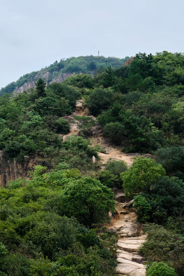 A rocky, unpaved trail ascends a steep mountainside densely covered in green trees and bushes under a light grey sky. A small structure is visible on the distant peak