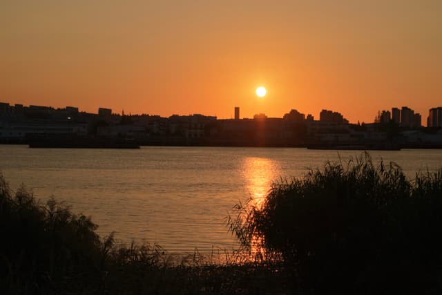 Orange sun setting over a river, silhouetted city skyline on horizon, dark vegetation in foreground