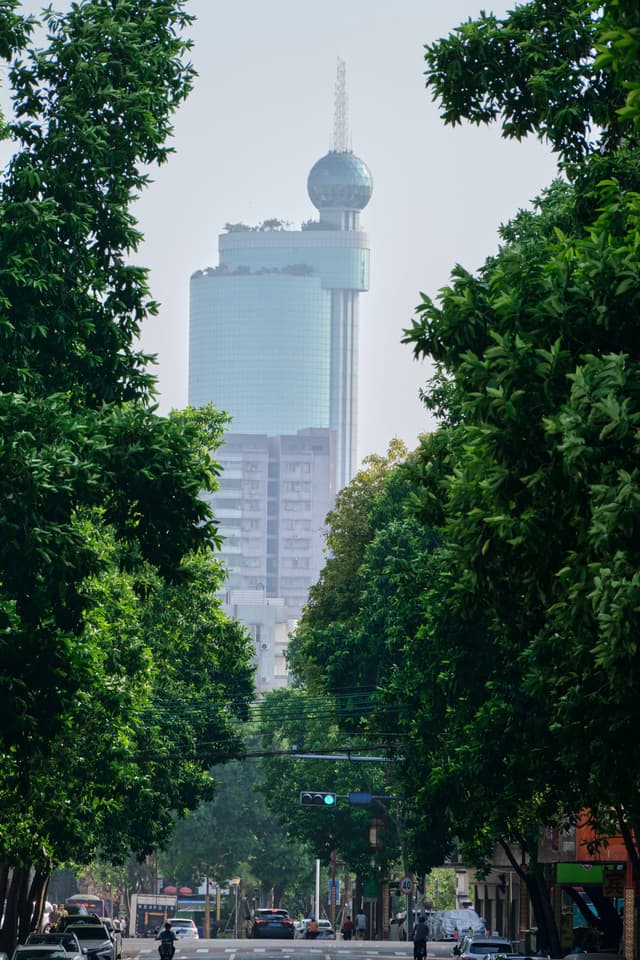 Distant light-blue skyscraper with dome, framed by dark green foliage, above a busy road