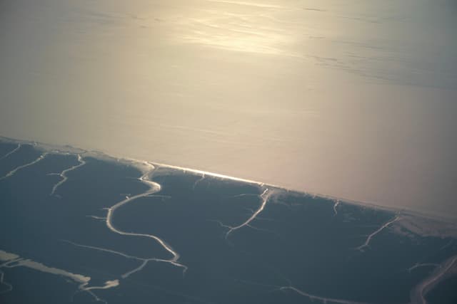 Aerial view of sunlit estuarine landscape with intricate tidal channels