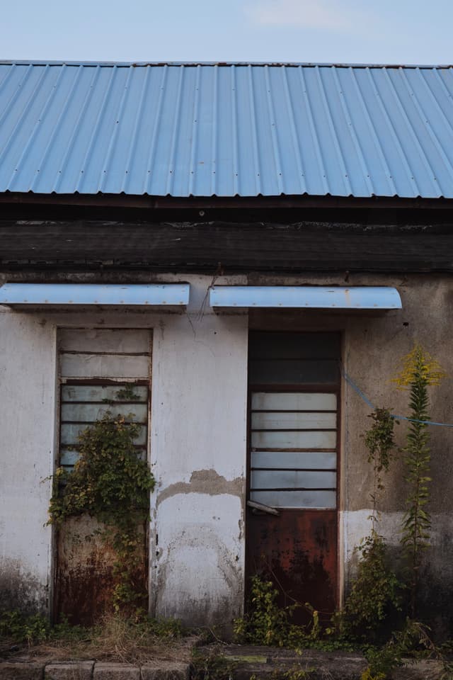 Weathered building facade with light blue corrugated metal roof, two barred doors, and overgrown vines
