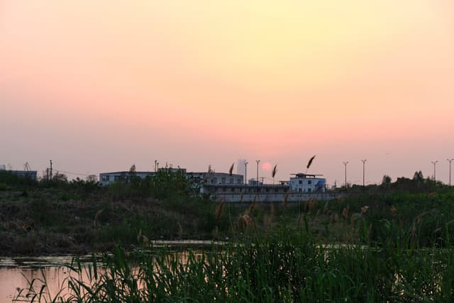 Dark reeds and water in foreground, distant buildings and land against a gradient sunset sky