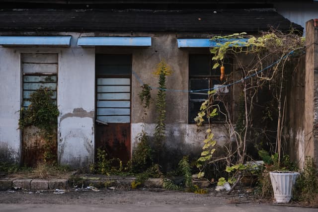 Dilapidated building facade with two blue-awninged windows, overgrown green vines, and a white pot on the ground