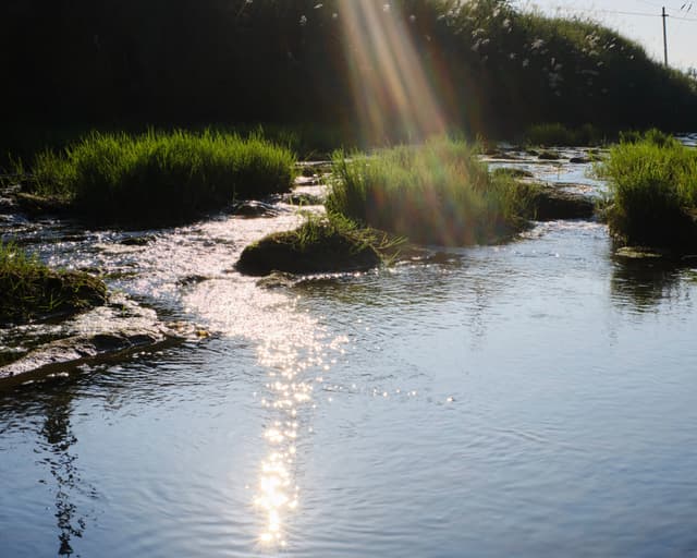 River with sun rays, grassy islands, and water reflections