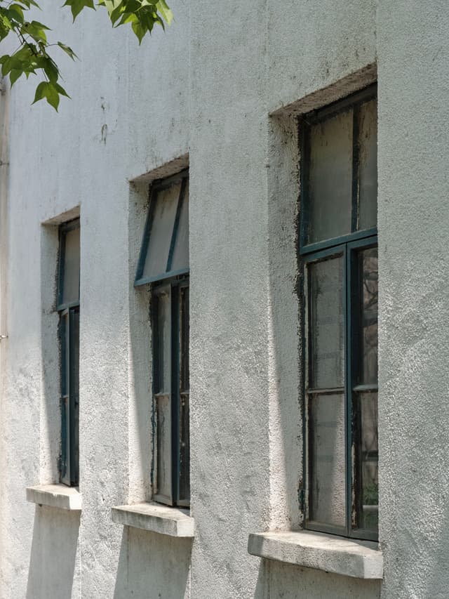 Three rectangular windows with dark frames on a textured white wall, one window partially open, green leaves in top left