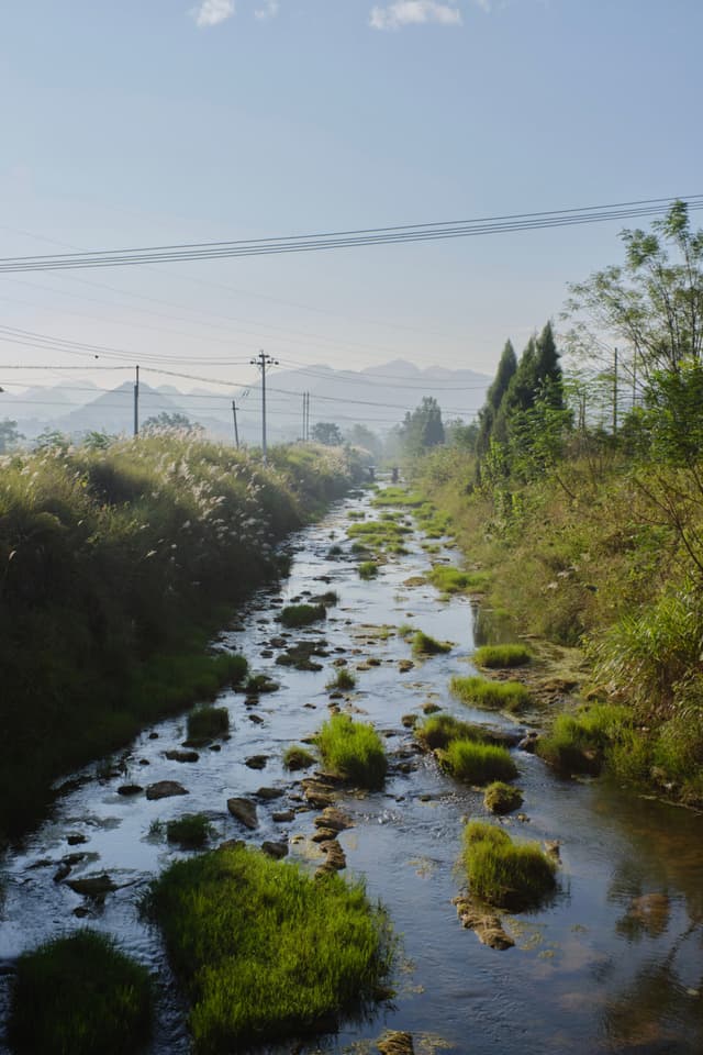 Shallow, rocky stream with green vegetation flows between grassy banks toward distant mountains under a clear sky with power lines