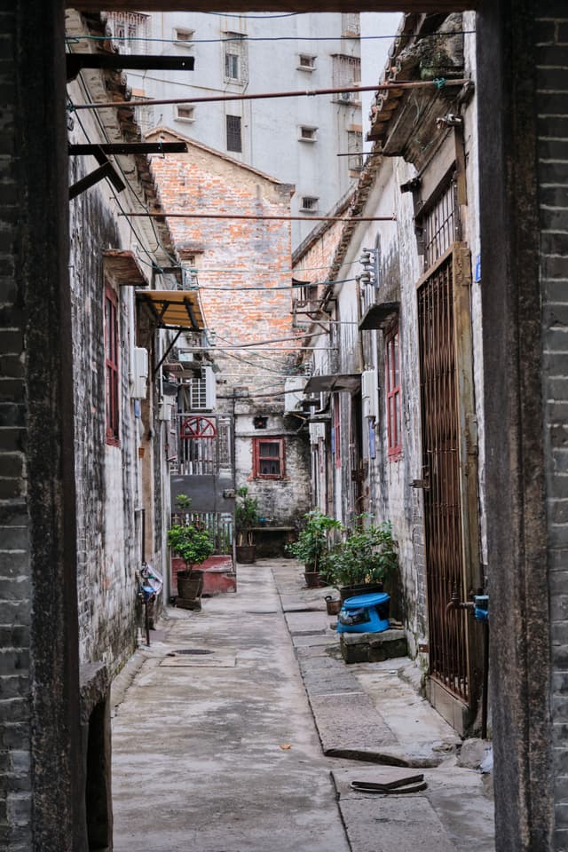 Narrow urban alleyway between aged buildings. Features worn brick, peeling paint, potted plants, exposed wiring, and metal doors. Distant modern building visible
