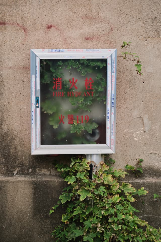 White-framed glass box with red Chinese characters and FIRE HYDRANT text, partially obscured by green leaves, mounted on a textured concrete wall, with vines growing around it