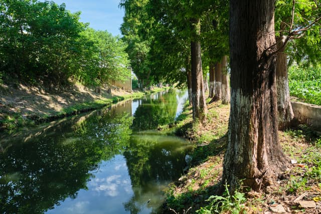 Narrow canal flowing between tree-lined banks, water reflecting sky and foliage, sunlit