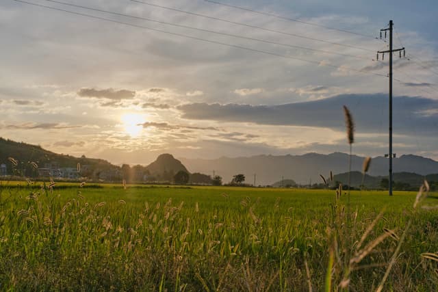 Green field with power line, sun setting over distant mountains, cloudy sky