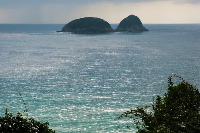 Two small, rounded islands sit on the horizon of a wide, slightly choppy ocean under an overcast sky, with dark foliage in the bottom foreground