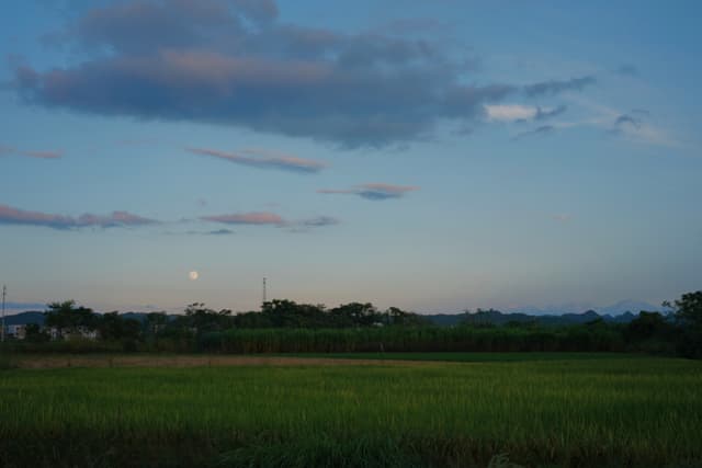 Green field under blue sky with clouds and moon, distant treeline