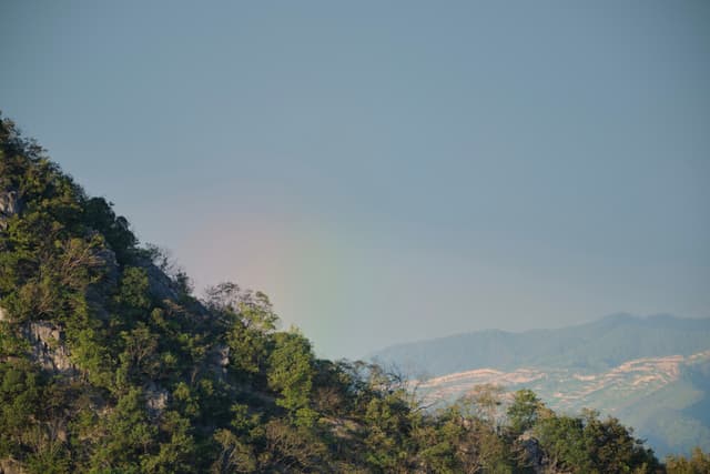 Forested mountain slope under clear blue sky with distant hazy hills