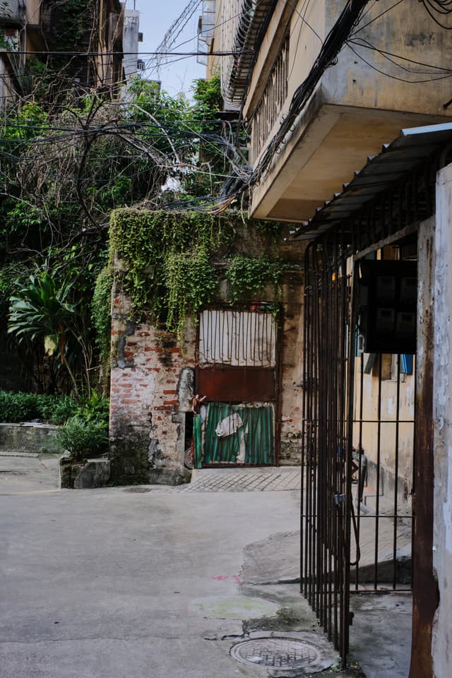 Dilapidated urban alley with brick walls, green vines, a rusty gate, and overhead wires