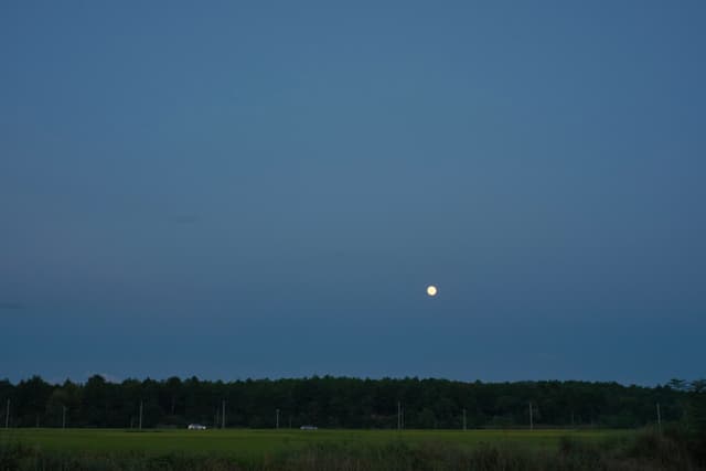 Dark blue sky with full moon over treeline and field
